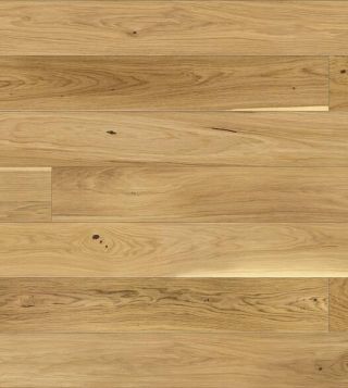 13186261 1 S 4db68263