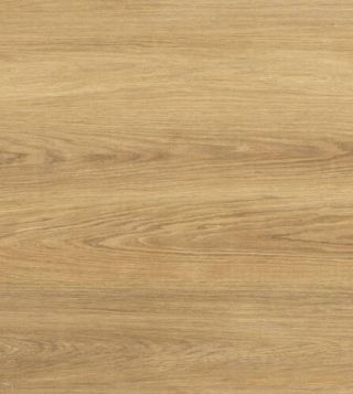 10351276 1 A 8d19d884