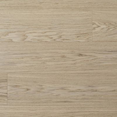 10401264 1 A 95805207