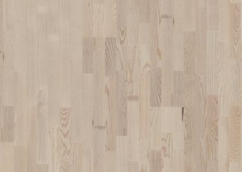 14309454 1 A ba4e1585