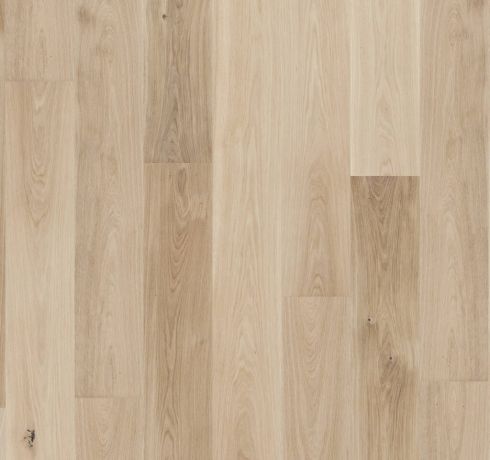 13186264 1 1 A c28e5512