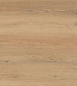 10351261 1 A ceca7785