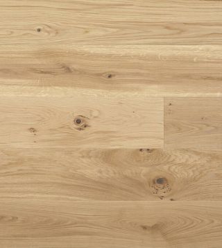 14932265 1 A e6d133f8