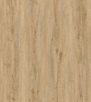 10351263 1 A 09232836