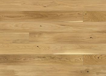 13186261 1 S 0b9736ce