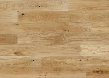 13187261 1 S 1 113e88f6