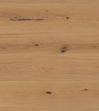 14922265 1 A 11dbada4