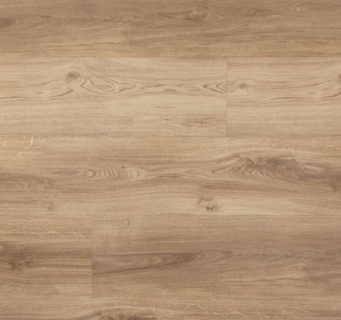 10351278 1 A 137a631e