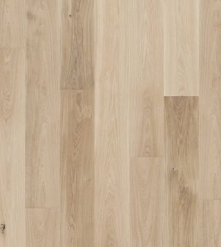 13186264 1 1 A 149d98c5