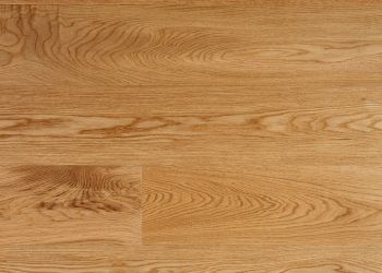 14931661 1 A 1d4c8022