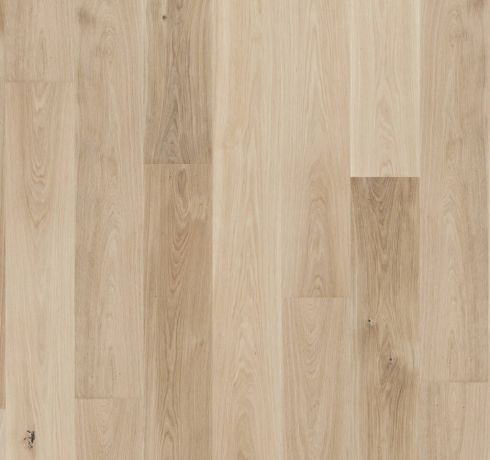 13186264 1 1 A 33a09c38