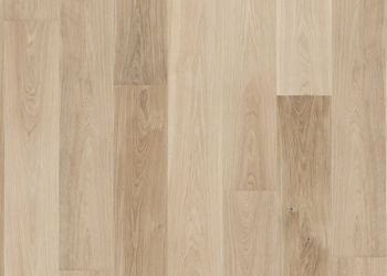 13186264 1 1 A 427f8cef