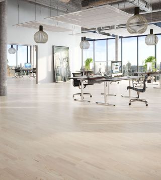 14309454 2 B 4ba2cfd9