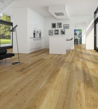 13186262 1 2 B scaled 56e666fb