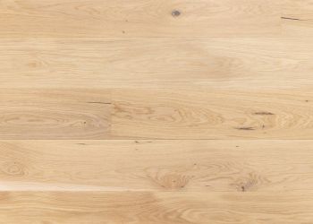 13186263 1 1 A 6dd2d937