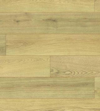 10151320 1 A 8d628d91