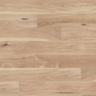 13187264 1 1 A 94693d17