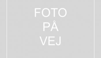 Eg hvidolie, Living, Højre 58 foto paa vej e05bcf50