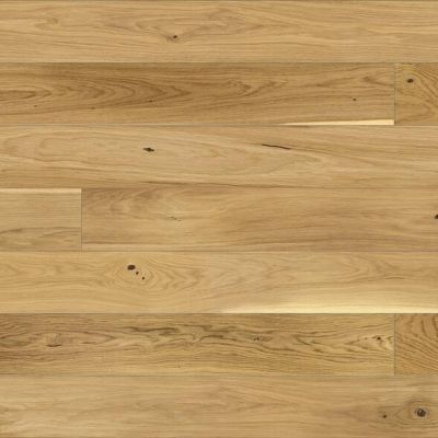 13186261 1 S e60fe695