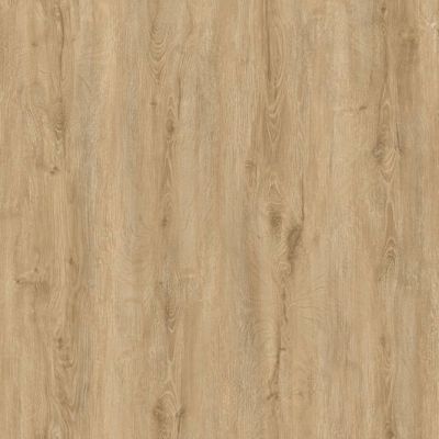 10351263 1 A e8d61016