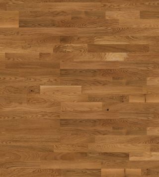 14962761 1 A f2bb9fa3