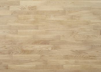 14964764 1 A f80d1d98